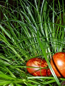 Ostern